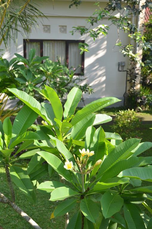 Wijaya Guest House Ubud Экстерьер фото